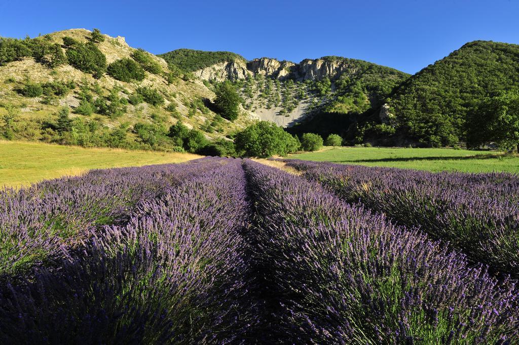 Vvf Drome Provence Hotel Montbrun-les-Bains Bagian luar foto